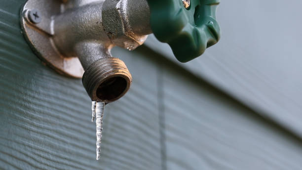 Best Leak Detection Services  in Mattawan, MI